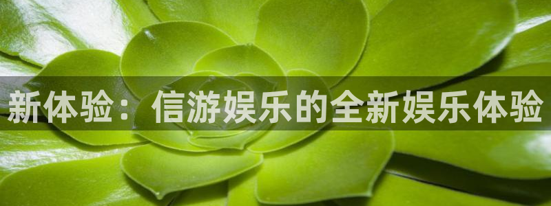 万赢娱乐体育用品：新体验：信游娱乐的全新娱乐体验