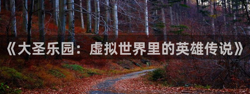 万赢娱乐体育老板是谁：《大圣乐园：虚拟世界里的英雄传说》