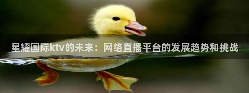 万赢娱乐官网：星耀国际ktv的未来：网络直播平台的发展趋势和挑战