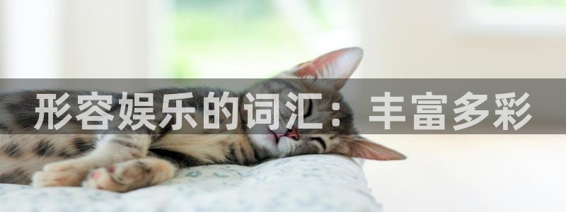 万赢娱乐2平台登录：形容娱乐的词汇：丰富多彩
