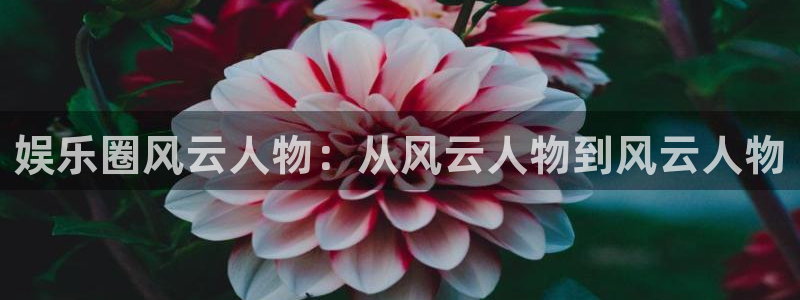 万赢娱乐登录：娱乐圈风云人物：从风云人物到风云人物