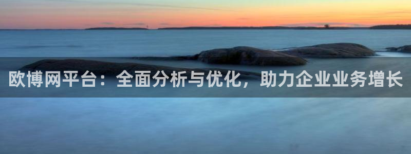 万赢娱乐4：欧博网平台：全面分析与优化，助力企业业务增长