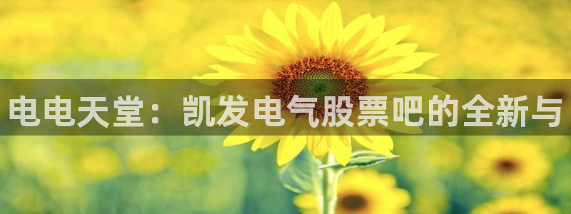 万赢娱乐体育2：电电天堂：凯发电气股票吧的全新与