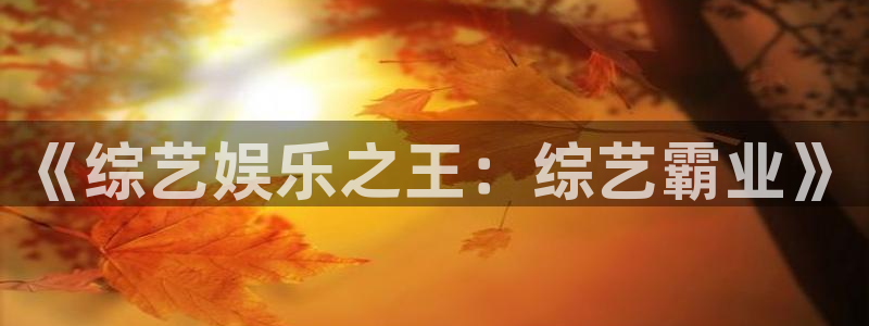 万赢娱乐平台官网：《综艺娱乐之王：综艺霸业》