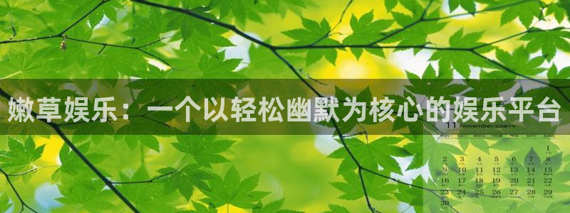 万赢娱乐5注册：嫩草娱乐：一个以轻松幽默为核心的娱乐平台