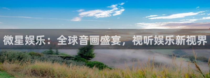 万赢娱乐k：微星娱乐：全球音画盛宴，视听娱乐新视界