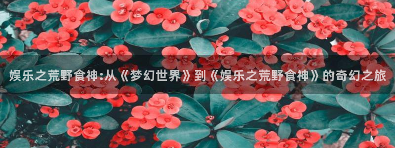万赢娱乐代理注册官网入口：娱乐之荒野食神:从《梦幻世界》到《娱乐之荒野食神》的奇幻之旅