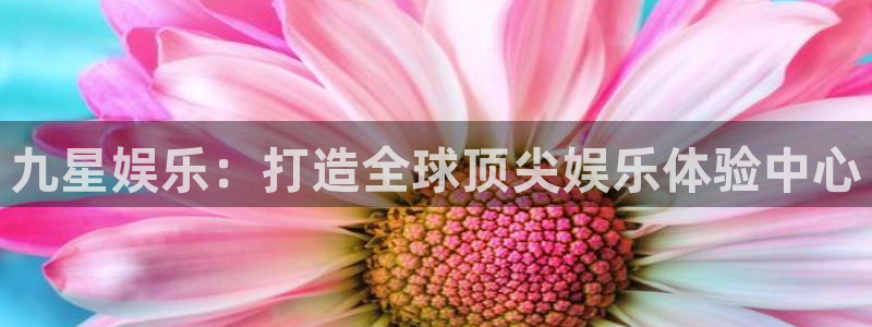 万赢娱乐体育老板是谁：九星娱乐：打造全球顶尖娱乐体验中心
