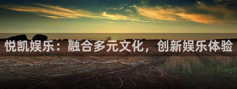 万赢娱乐体育凯捷登陆：悦凯娱乐：融合多元文化，创新娱乐体验
