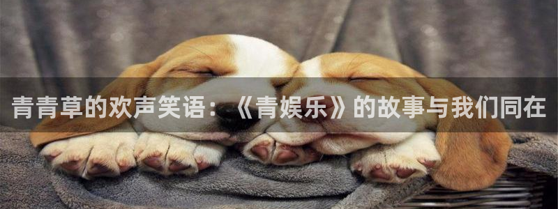 德国万赢娱乐集团